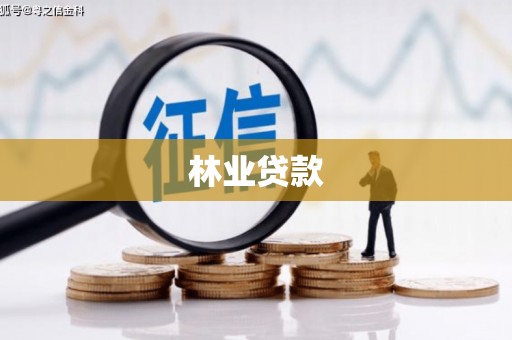 亭湖林业贷款
