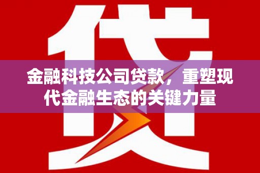 神湾金融科技公司贷款，重塑现代金融生态的关键力量