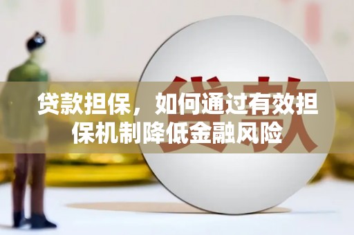 双阳贷款担保，如何通过有效担保机制降低金融风险