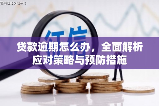 海淀贷款逾期怎么办，全面解析应对策略与预防措施