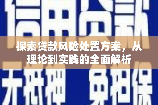 卢龙探索贷款风险处置方案，从理论到实践的全面解析