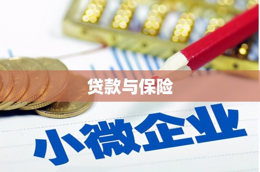 随县贷款与保险