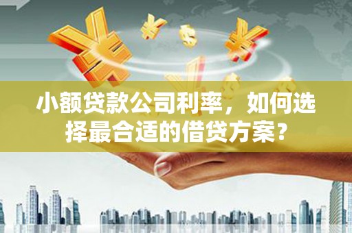 潮州小额贷款公司利率，如何选择最合适的借贷方案？