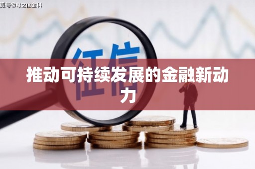 纳雍推动可持续发展的金融新动力