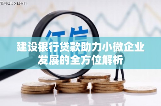 聂拉木建设银行贷款助力小微企业发展的全方位解析