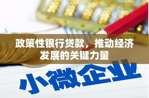 赫山政策性银行贷款，推动经济发展的关键力量