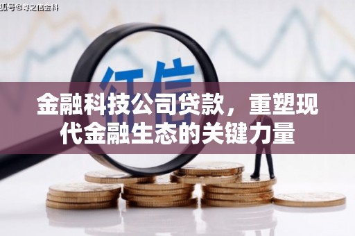 里港金融科技公司贷款，重塑现代金融生态的关键力量