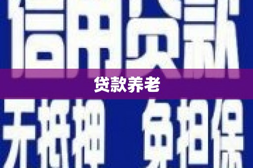 仁寿贷款养老