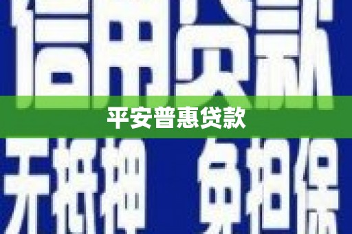 金城平安普惠贷款