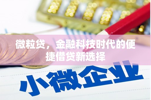 顺昌微粒贷，金融科技时代的便捷借贷新选择