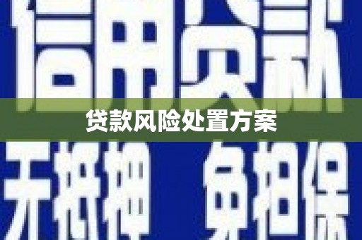 金秀贷款风险处置方案