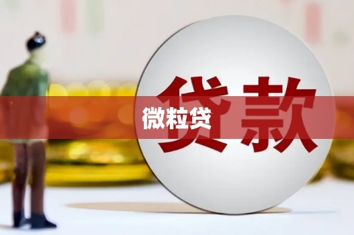 杭锦后旗微粒贷