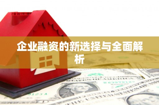 独山子企业融资的新选择与全面解析