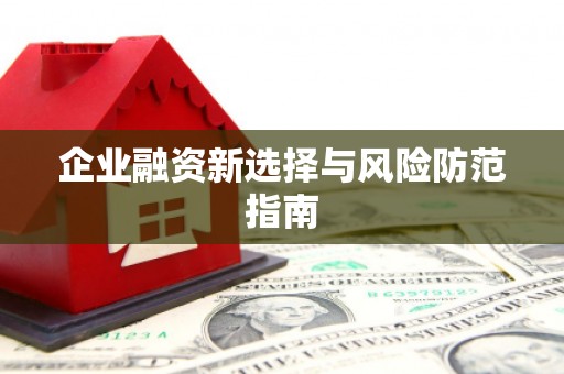 阜城企业融资新选择与风险防范指南
