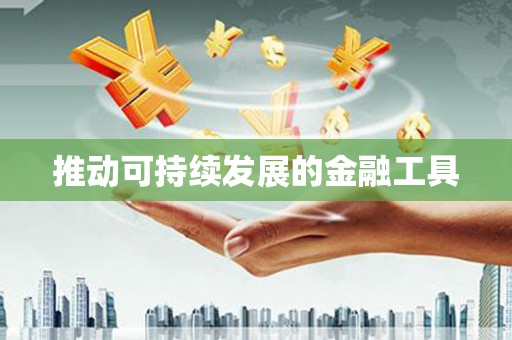 威宁推动可持续发展的金融工具