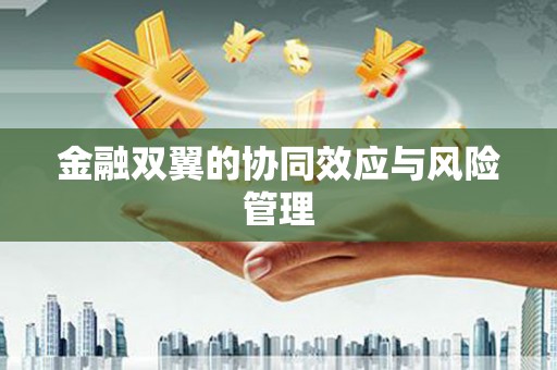 耒阳金融双翼的协同效应与风险管理