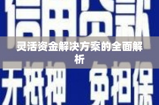 复兴灵活资金解决方案的全面解析